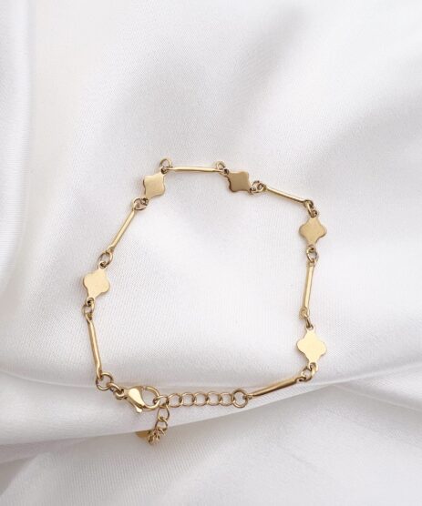 &Alpha;&rho;&chi;&iota;&kappa;ή &Sigma;&epsilon;&lambda;ί&delta;&alpha;, My CMS