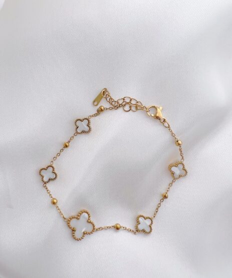 &Alpha;&rho;&chi;&iota;&kappa;ή &Sigma;&epsilon;&lambda;ί&delta;&alpha;, My CMS