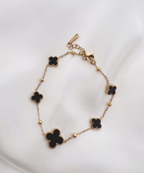 &Alpha;&rho;&chi;&iota;&kappa;ή &Sigma;&epsilon;&lambda;ί&delta;&alpha;, My CMS