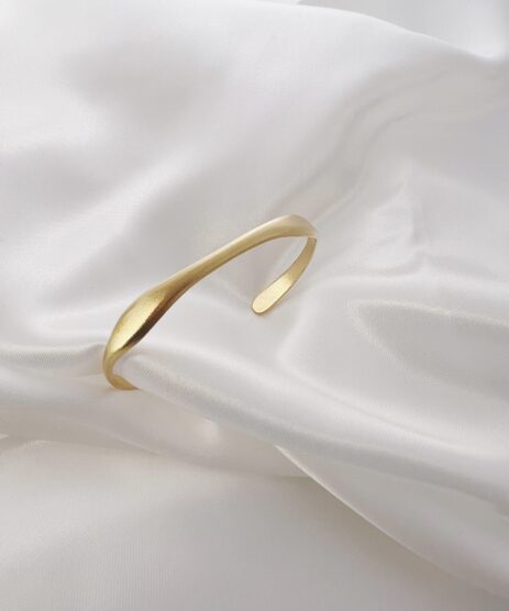 &Alpha;&rho;&chi;&iota;&kappa;ή &Sigma;&epsilon;&lambda;ί&delta;&alpha;, My CMS