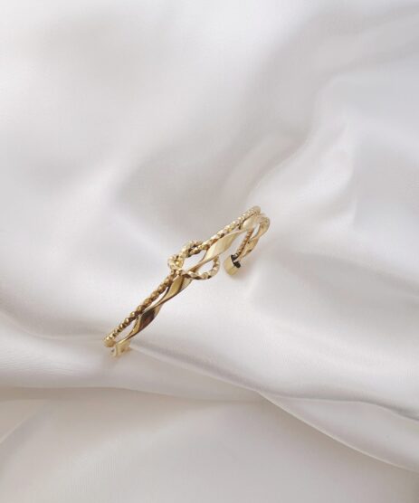 &Alpha;&rho;&chi;&iota;&kappa;ή &Sigma;&epsilon;&lambda;ί&delta;&alpha;, My CMS