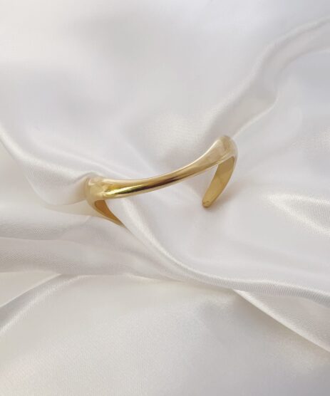 &Alpha;&rho;&chi;&iota;&kappa;ή &Sigma;&epsilon;&lambda;ί&delta;&alpha;, My CMS